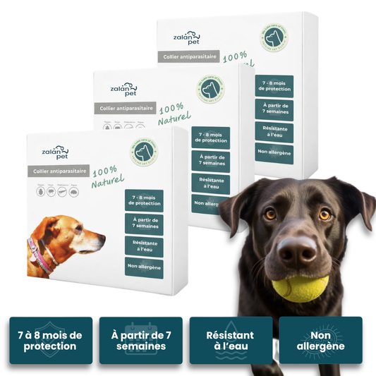 Collier antiparasitaire 100 % naturel