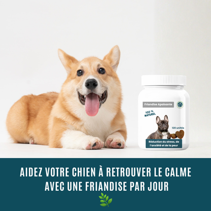 Friandise Apaisante